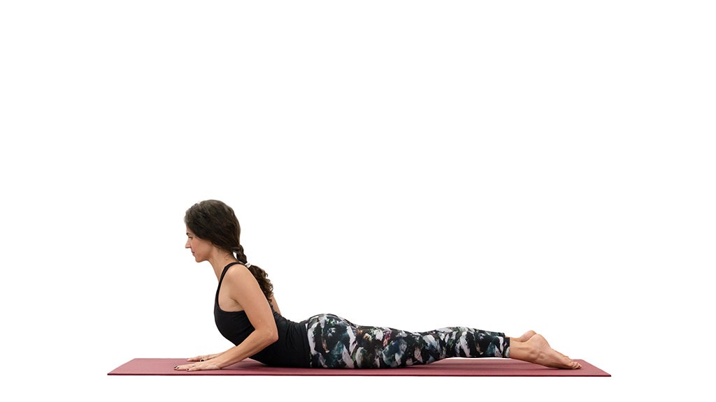 Yoga Asana - Bhujangasana (Cobra Pose) - Relieves Stress & Fatigue - YouTube