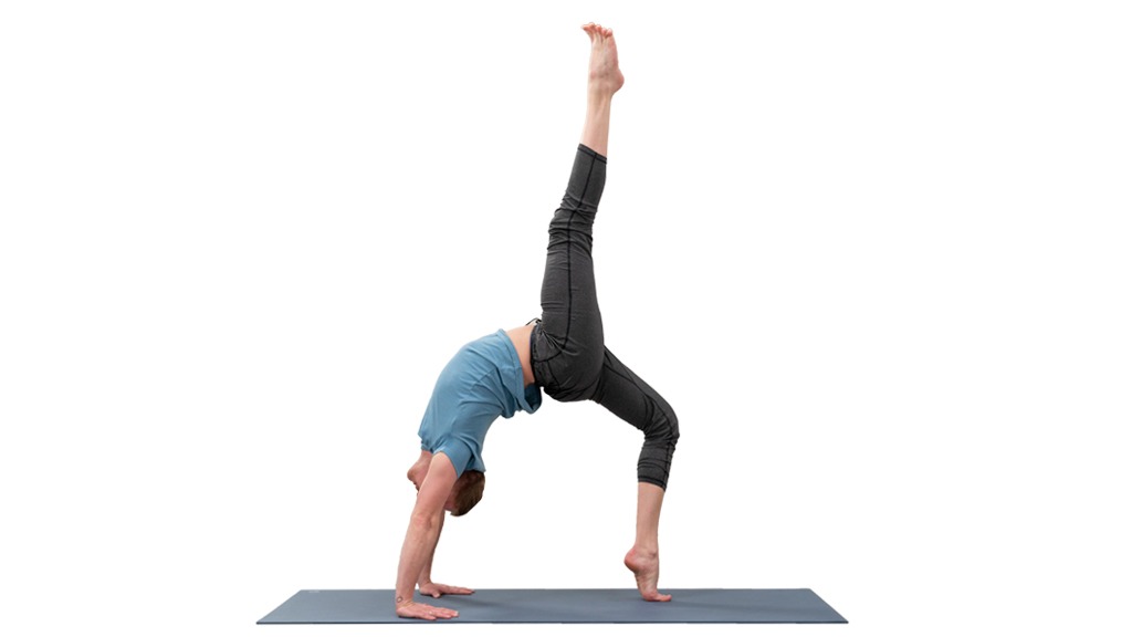 Eka Pada Dhanurasana: One-Legged Bow Pose - Yoga