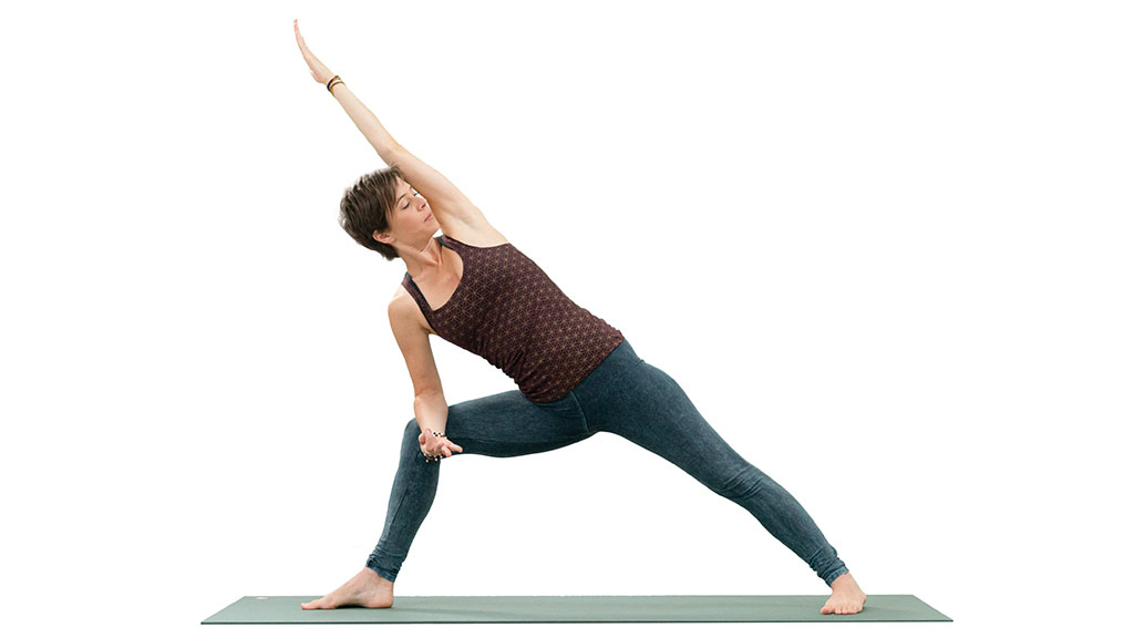 Yoga Extended Side Angle Pose - Utthita Parsvakonasana Stock Photo | Adobe  Stock