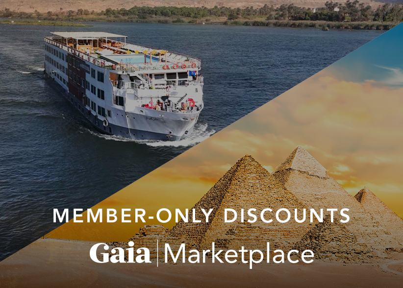 Gaia Marketplace Tours V6