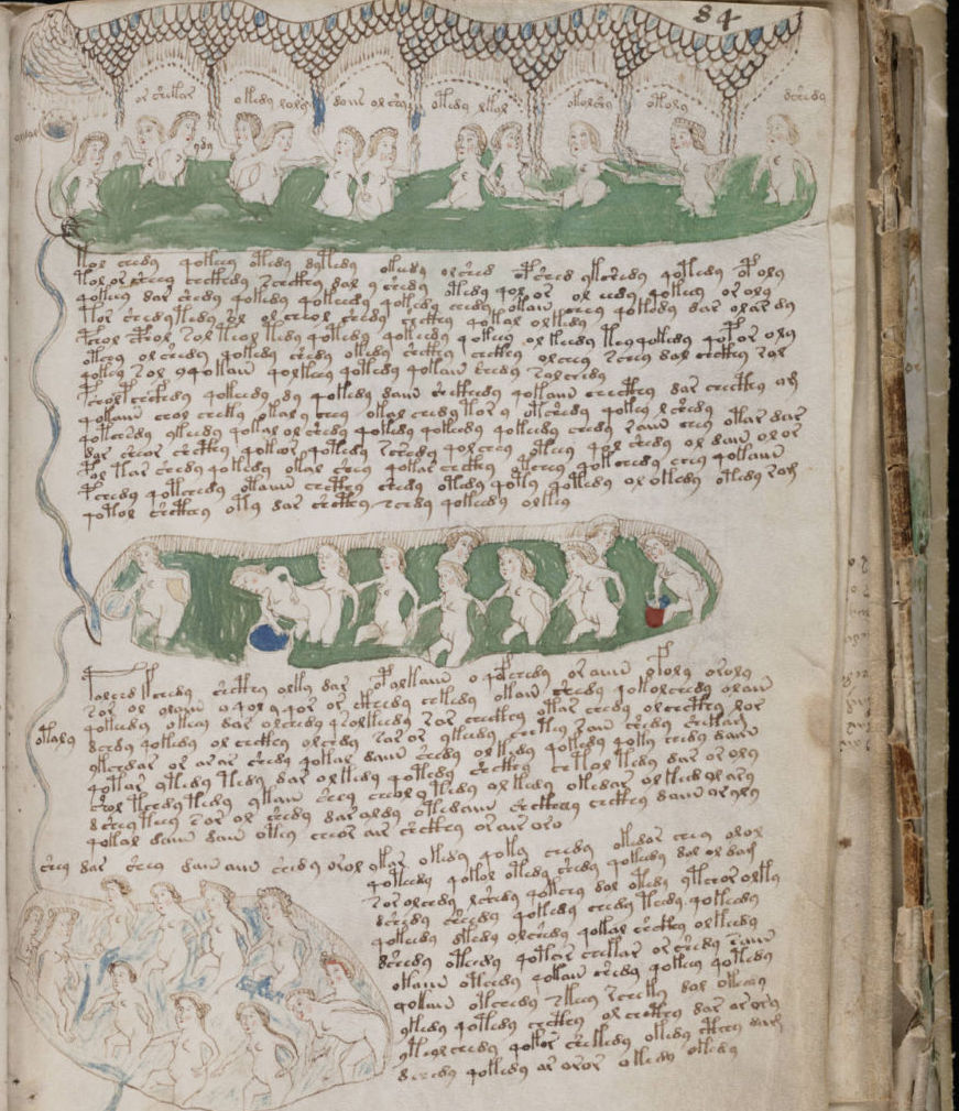 voynich manuscript hebrew