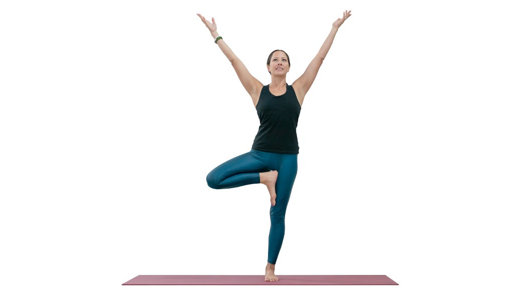 Tree pose yoga vector silhouette icon. Wellness symbol Stock Vector Image &  Art - Alamy