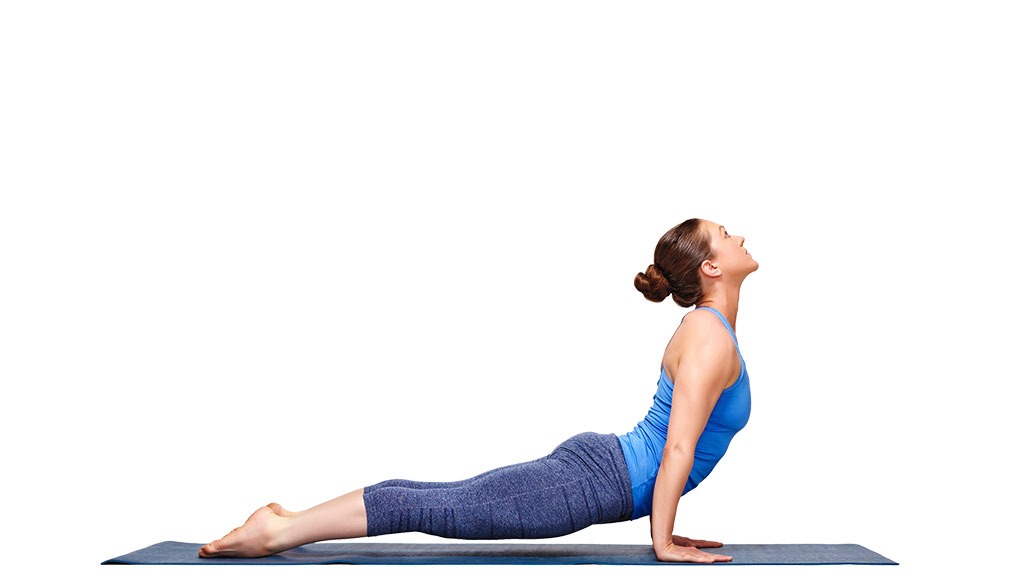 Urdhva Mukha Svanasana Upward Facing Dog Pose Yoga Gaia