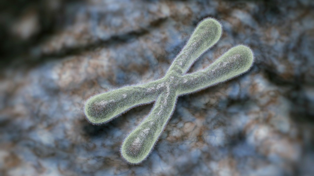 What Are Telomeres Discover Their Link To Aging Gaia - 