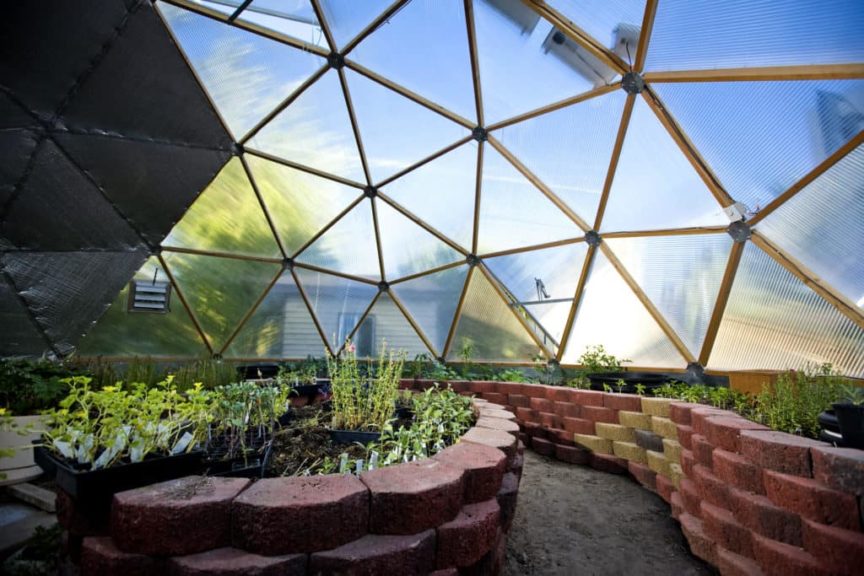 Interior of Beautiful Greenhouse Dome