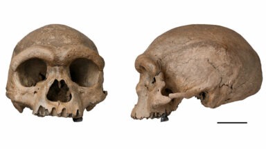 Crystal Skulls Information, Legends-- National Geographic