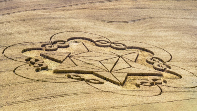 Some of These Messages Decoded From Crop Circles are Fascinating | Gaia