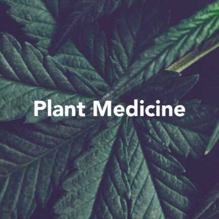 Originals Slider Plant Medicine Optimized