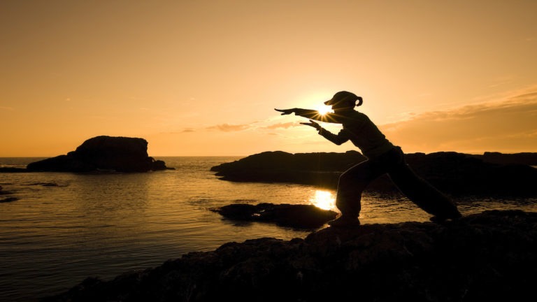 martial arts woman silhouette